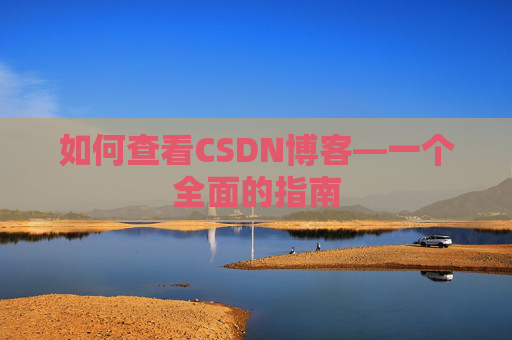 如何查看CSDN博客—一个全面的指南